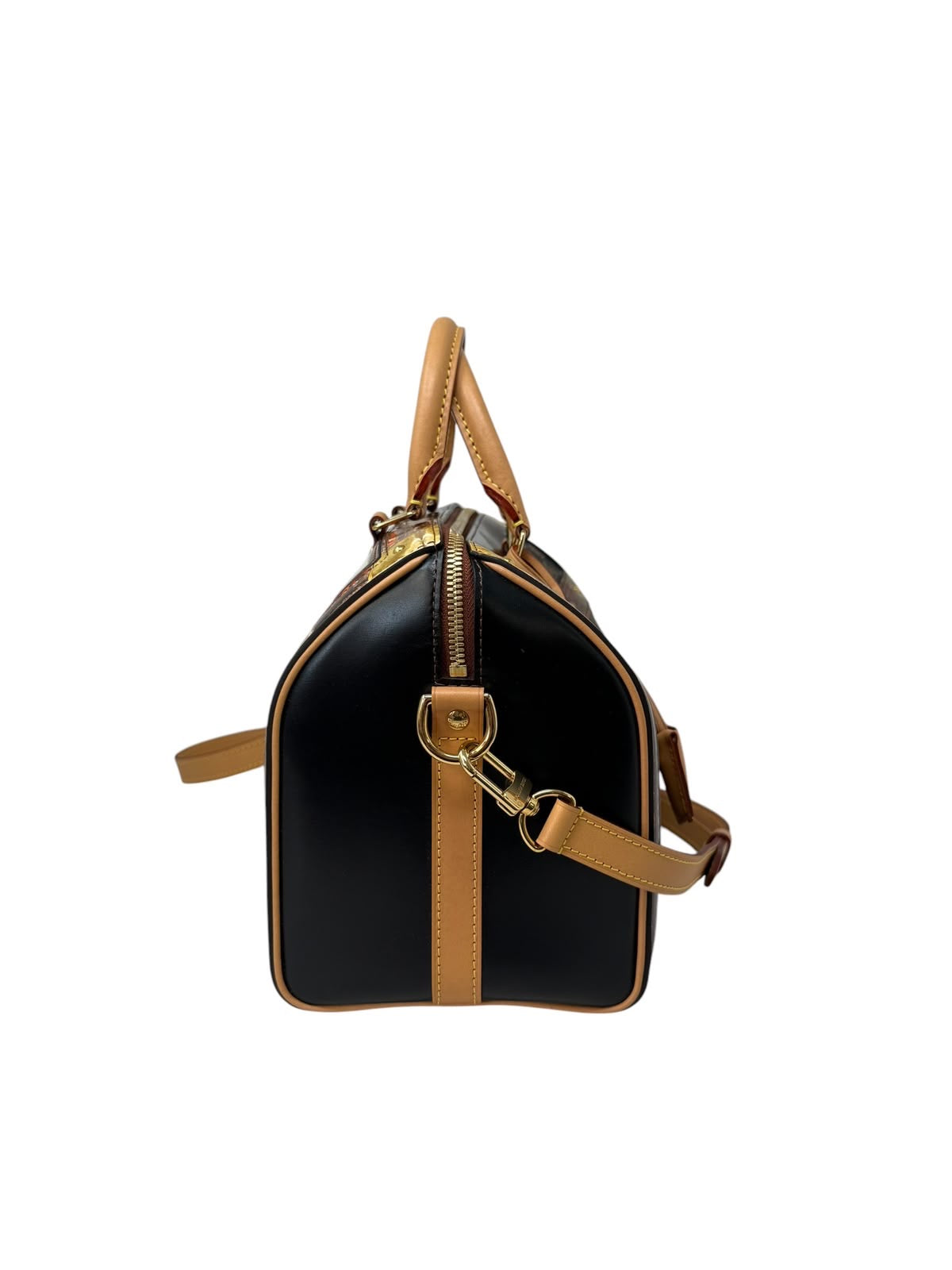 Speedy 25 Bandouliere Trunks & Bags