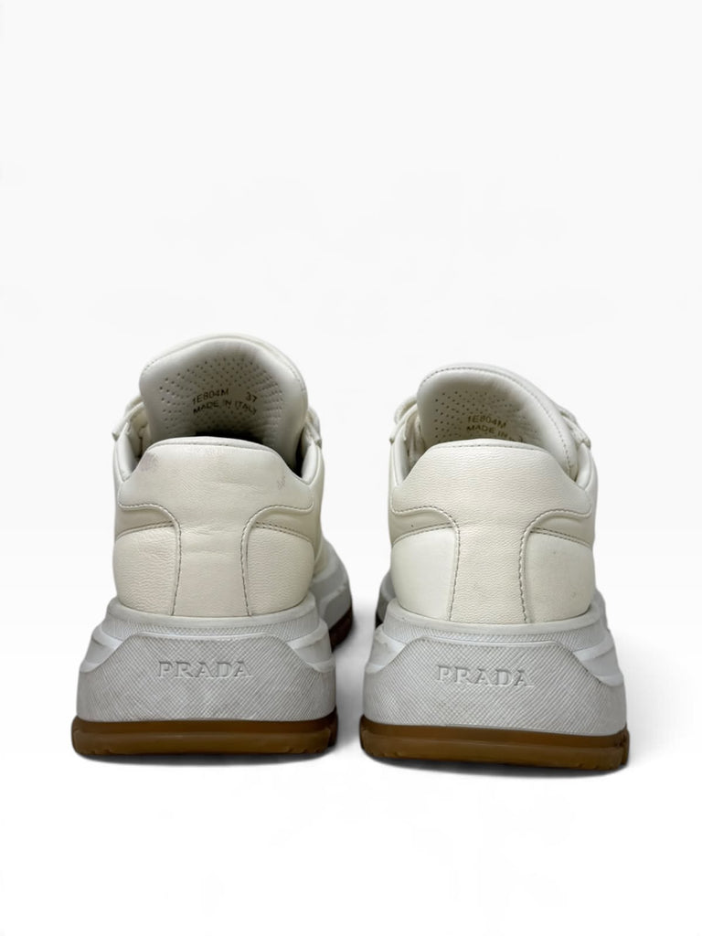 Sneakers T37 Eu