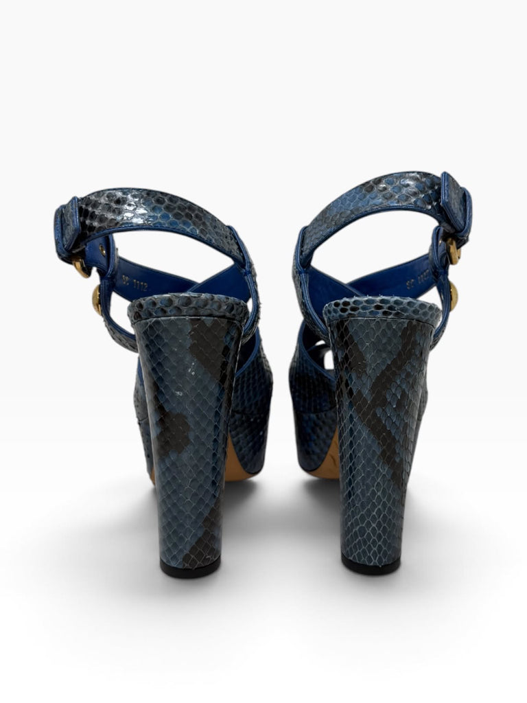 Snakeskin T37 Eu