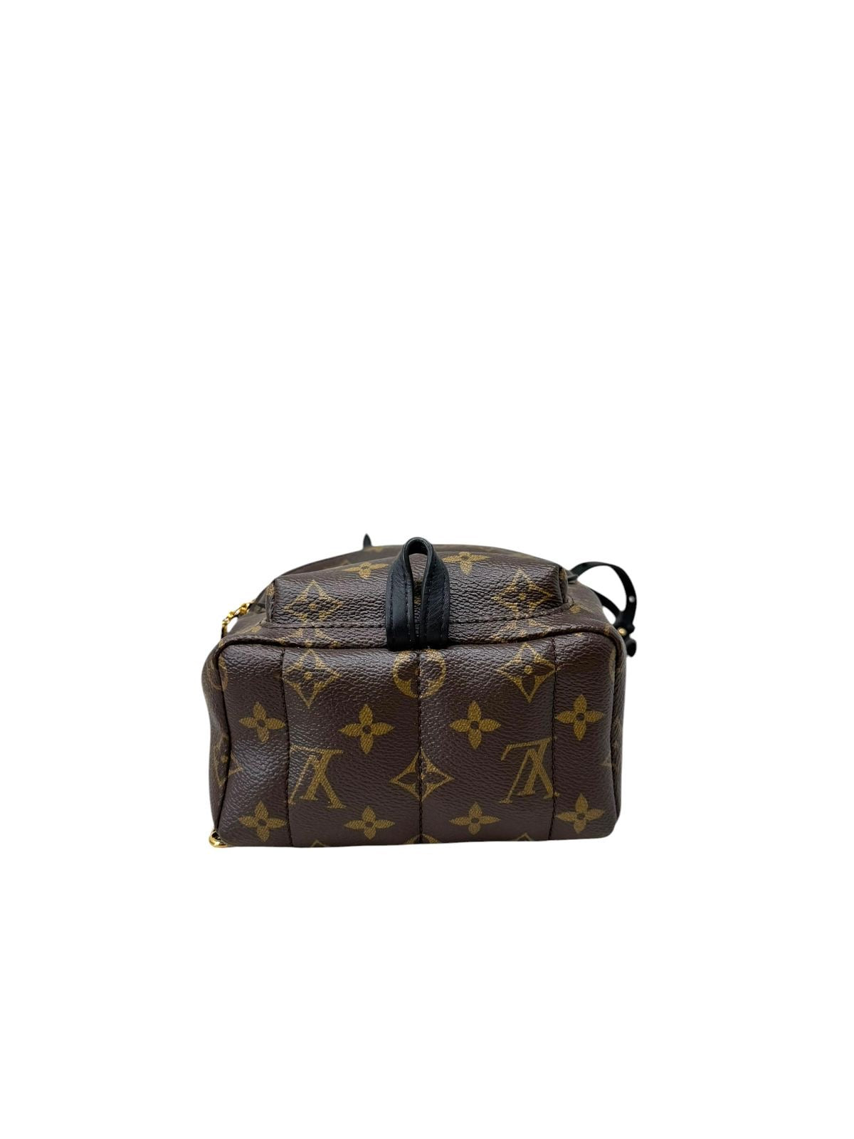 Backpack Mini Palm Springs