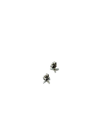 Aretes X