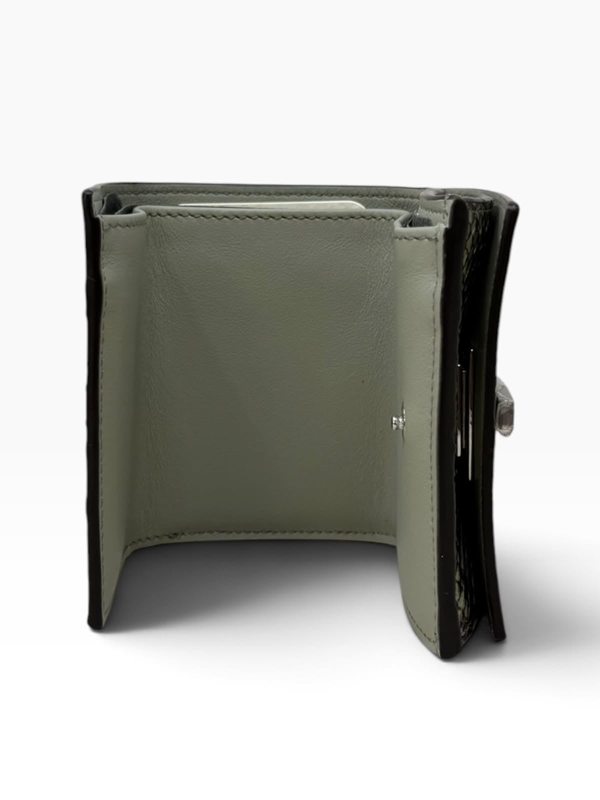 Micro Cartera