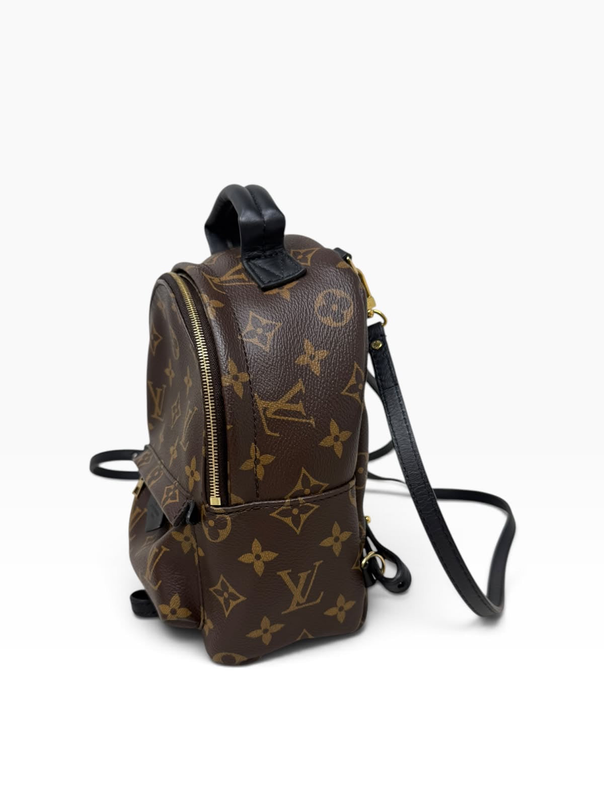 Backpack Mini Palm Springs