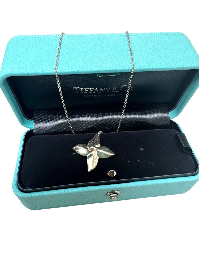 Collar Flower Petal