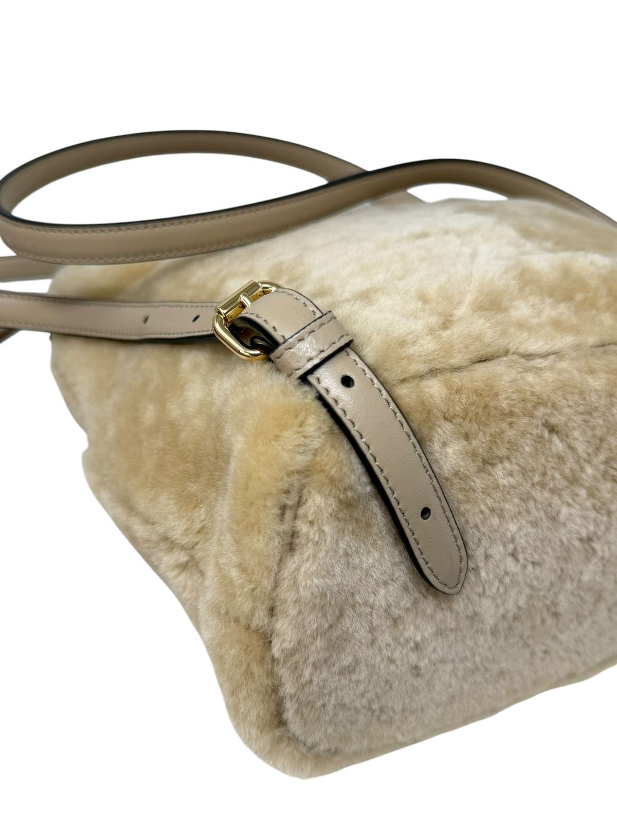 Backpack FF Buckle