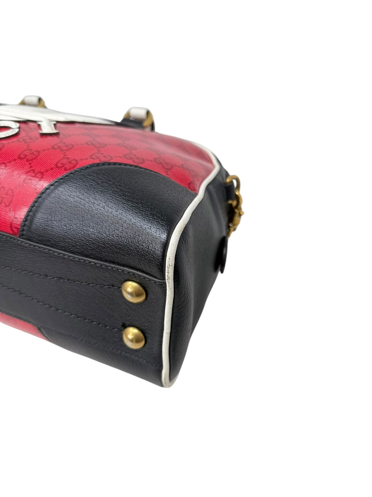 Bowling Bag