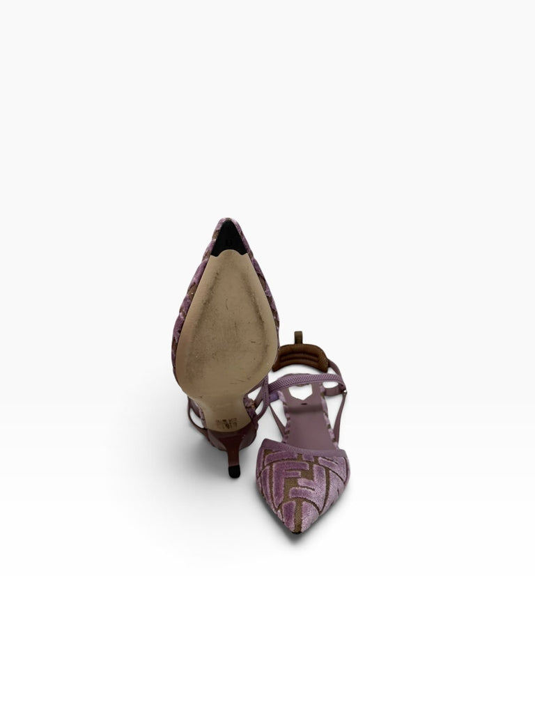 Colibri T36 Eu