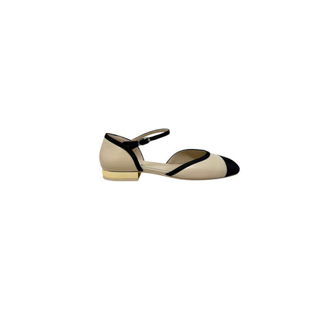 Flats T37 Eu