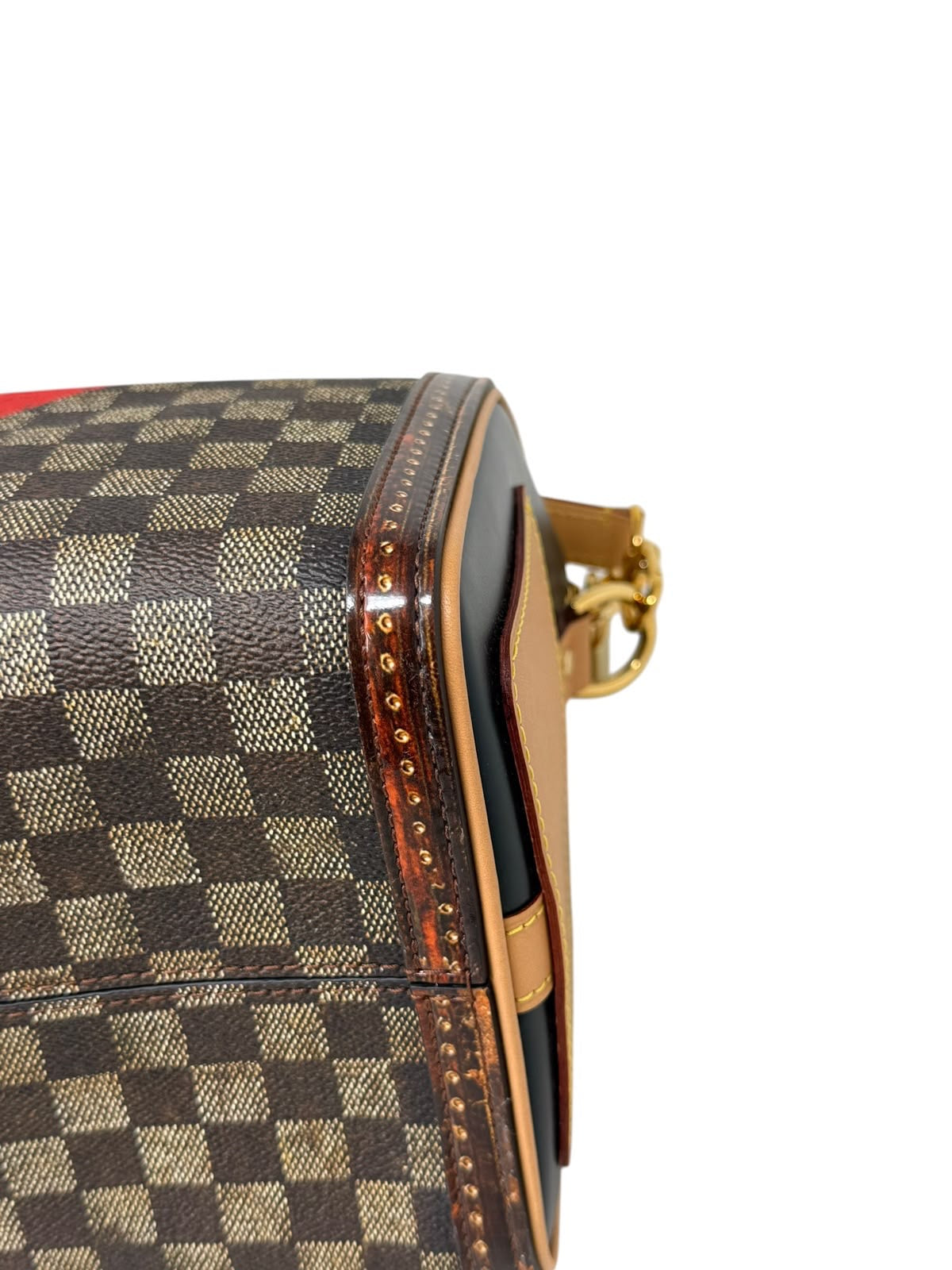 Speedy 25 Bandouliere Trunks & Bags